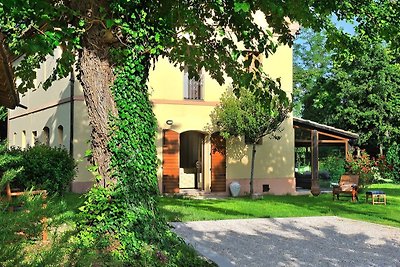 Marcheholiday Luce tra i faggi