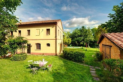 Marcheholiday Luce tra i faggi
