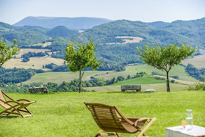 Checello