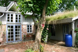 Clayhouse