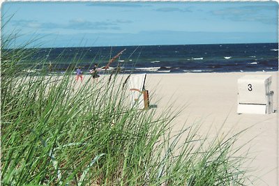 Strandhus,3 Zi, Terrasse, strandnah