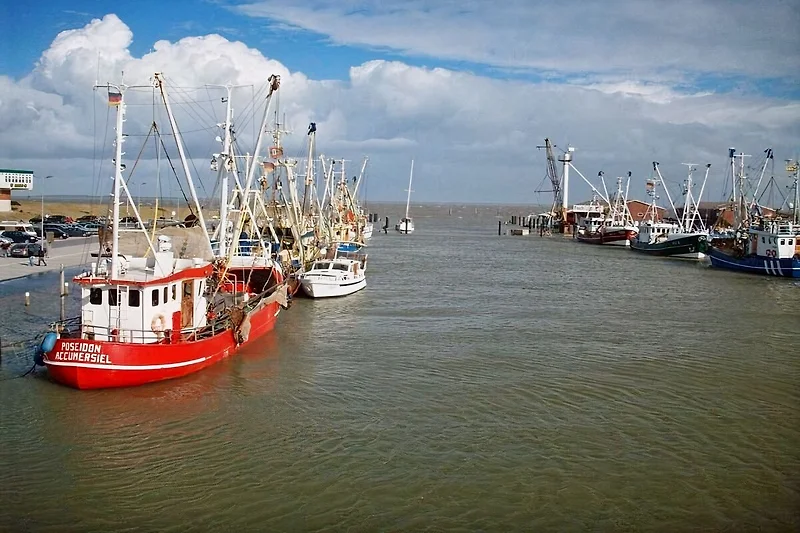 Kutter im Hafen von Dornumersiel