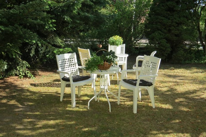 Seating area in the garden