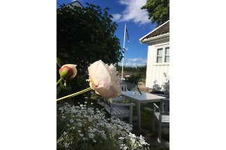 Ferienhaus Südnorwegen