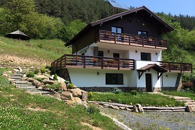 Der Garten unter der Sohne 