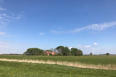 Ferienhof Spiegelhaus