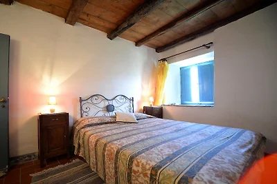 Casamario, Trassilico 