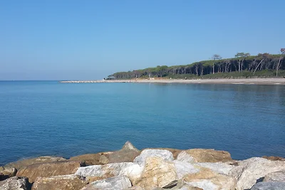 Appartamento La Cicala