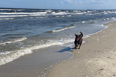 Sommergarten 37 C Urlaub mit Hund