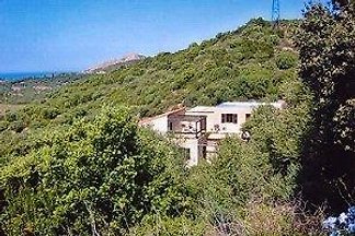 Finocchiaja, Urtaca