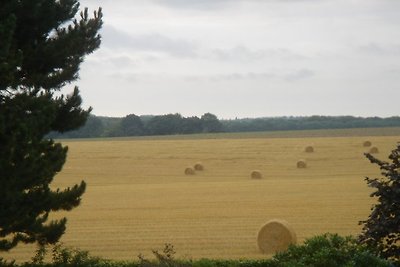 La Bergerie de Saint-Jean