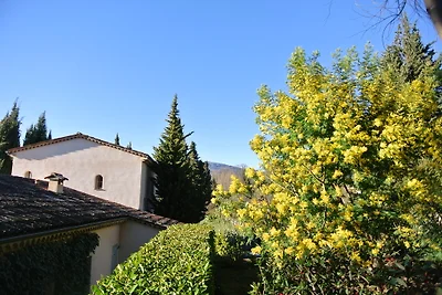 MAS DES LAVANDES Domaine Bramafan