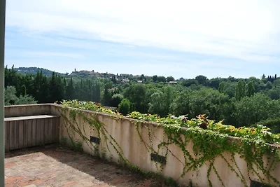 MAS DES LAVANDES Domaine Bramafan