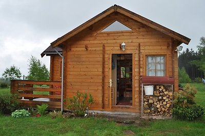 Chalet in nature reserve with lake