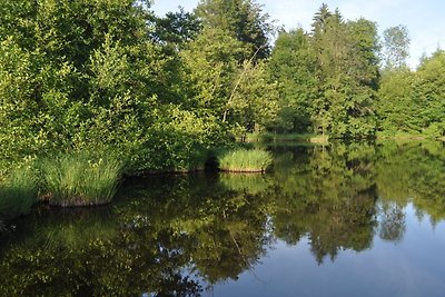 Chalet en pleine nature avec étang