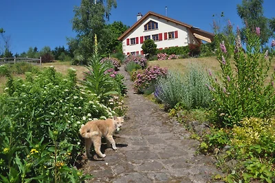 Camera doppia in casa di campagna con lago balneabile privato