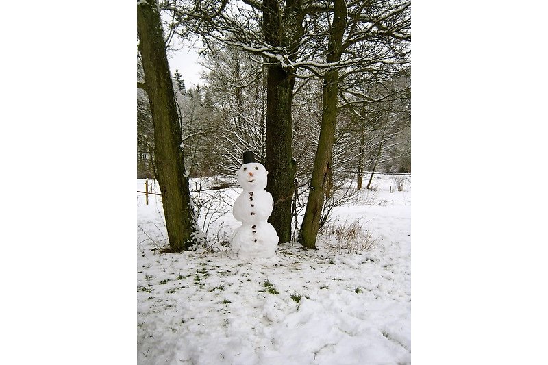 Wann haben Sie den letzten Schneemann gebaut?