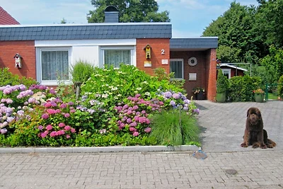 Haus Schwalbe