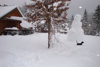 Ferienhaus Salzkammergut