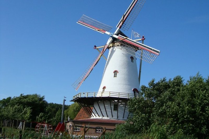 Die Mühle in Zierikzee