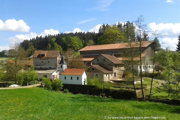 Ferienhaus Michelsneukirchen