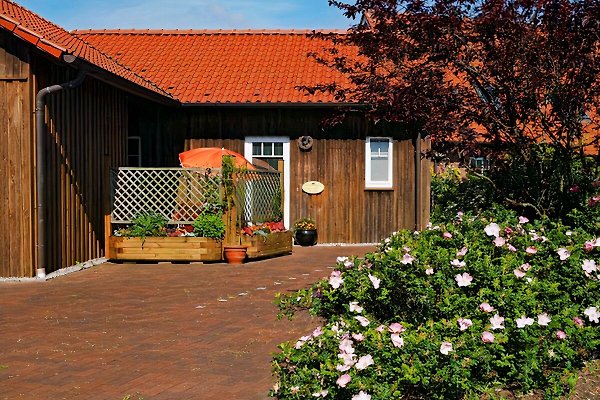 Ferienwohnung Kosel
