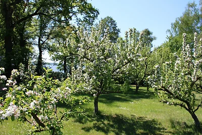 Ferienhof Löschebrand