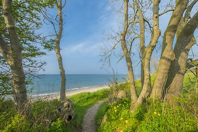 Haus Jellenbek am Ostseestrand