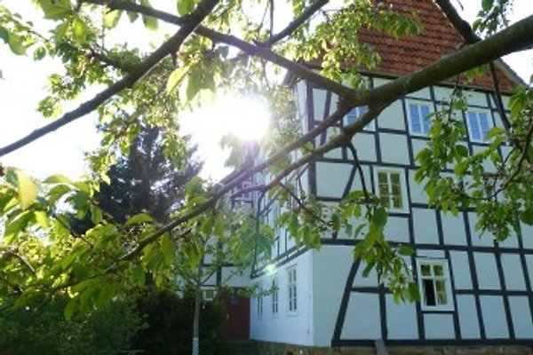 Ferienhaus Waldeck