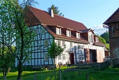 Historische Mühle Freienhagen