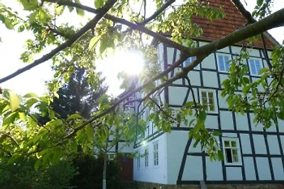 Historische Mühle Freienhagen