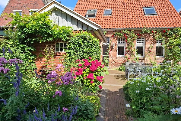 Ferienhaus Ditzum