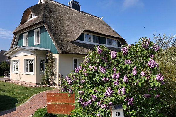 Ferienhaus Born