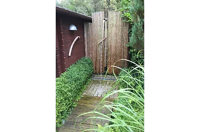 urlaub-im-wald (Haus P)