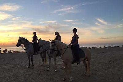 Appartement Zeemeermin 3