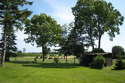 Ostseeferienhaus Rasch