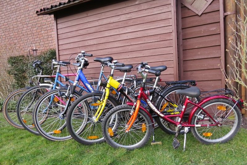 Unsere 5 Fahrräder für Ihren Urlaub