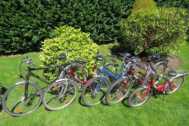 Unser Fahrrad-Fuhrpark für Jung und Alt mit Fahrradanhänger