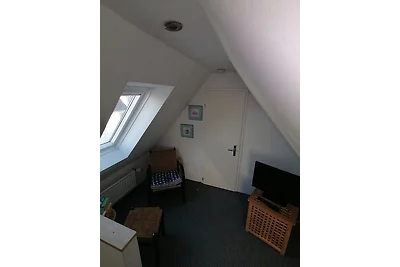 Möwennest