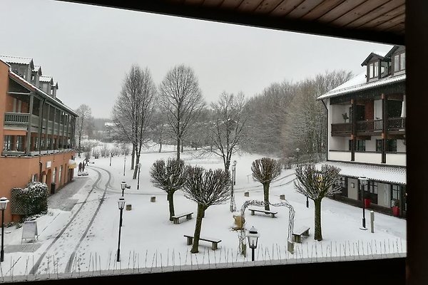 Ferienwohnung Helga im Blumenhof in Bad Griesbach - Frau H. Götz