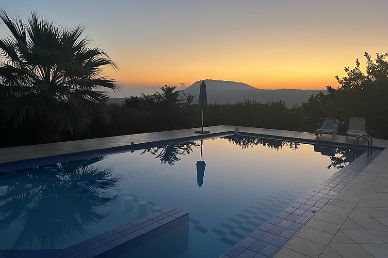Sonnenuntergang am Pool mit Palmen und Reflexionen.