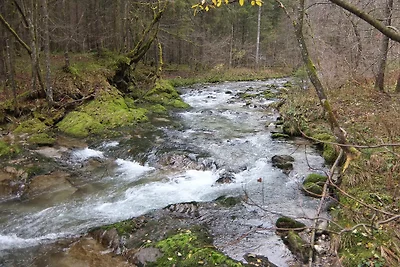 Ferienwohnung Weissbach