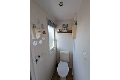 Urlaub mit Haustier an der Nordsee