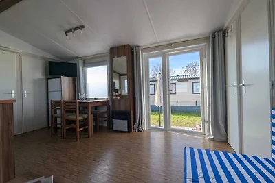 Urlaub mit Haustier an der Nordsee