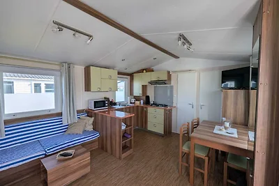 Urlaub mit Haustier an der Nordsee