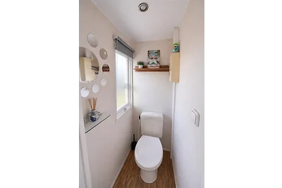 Urlaub mit Haustier an der Nordsee