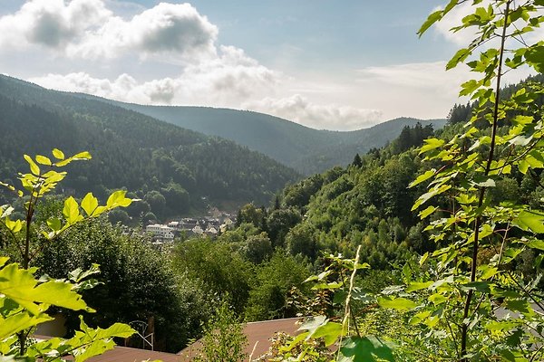 Ferienhaus Oberweißbach