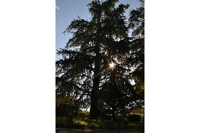 La Villa du soleil