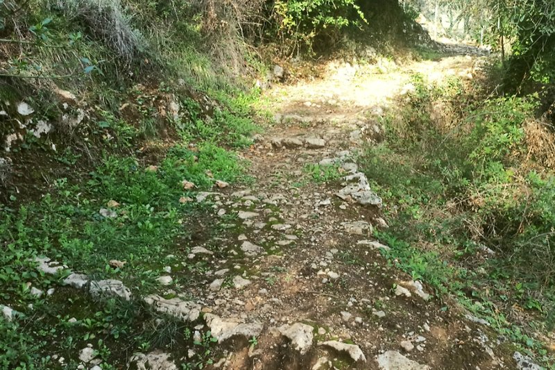 Path to the house - an ancient mule path