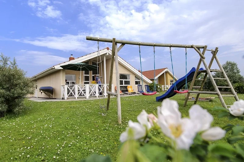 Tuin met schommel en zonneterras